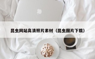 肥城昆虫网站高清照片素材（昆虫图片下载）